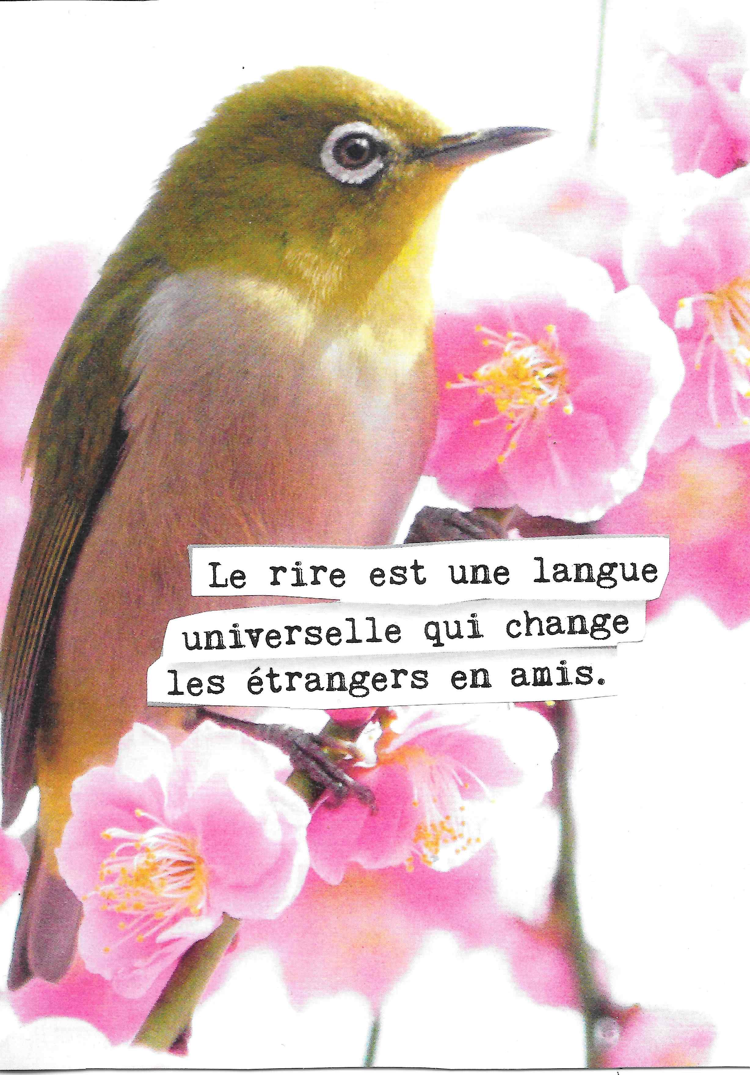 Cartes Paonsavivre